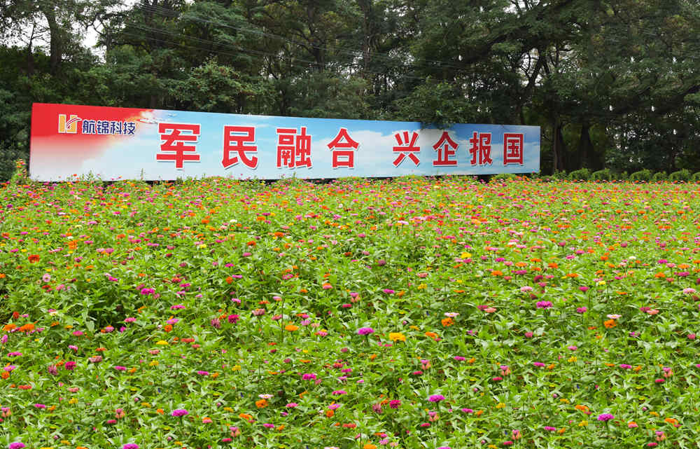 化工軍工再迎雙紅 航錦科技去年業(yè)績增97%