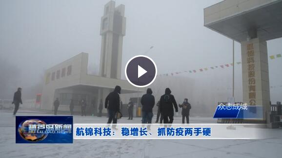 航錦科技：穩(wěn)增長、抓防疫兩手硬